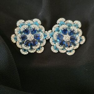 Elegant Blue and Silver Floral Earrings